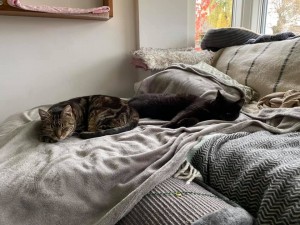 Latta & Edgar