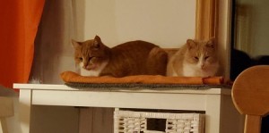 Allan & Bob
