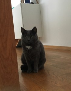 Flinga